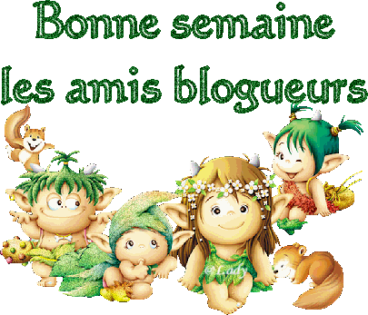 Bonjour et bonne semaine à tous !